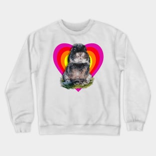 Alvin the mini lop rabbit! Crewneck Sweatshirt